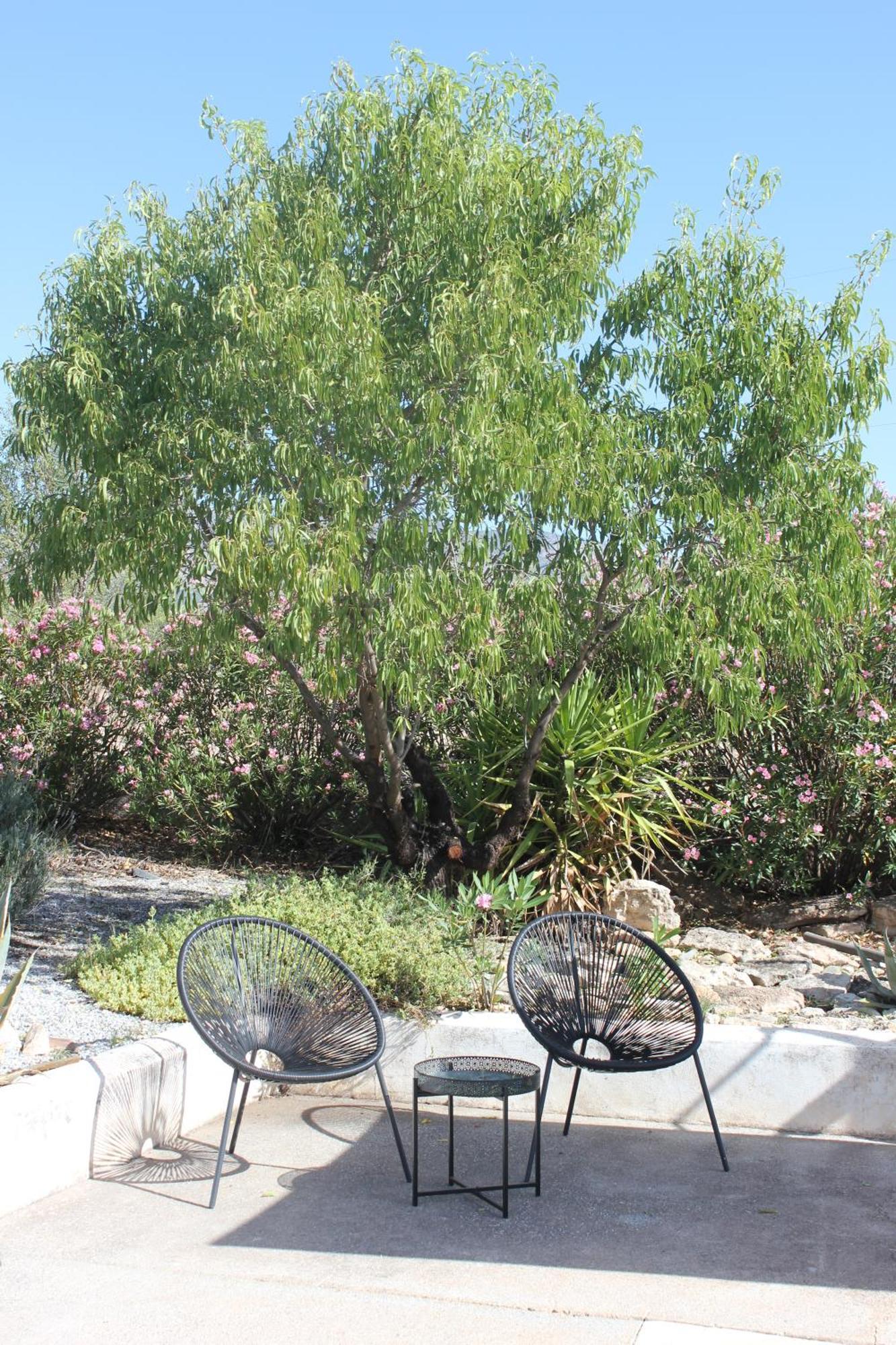 Bed and breakfast Casa De La Familia -
