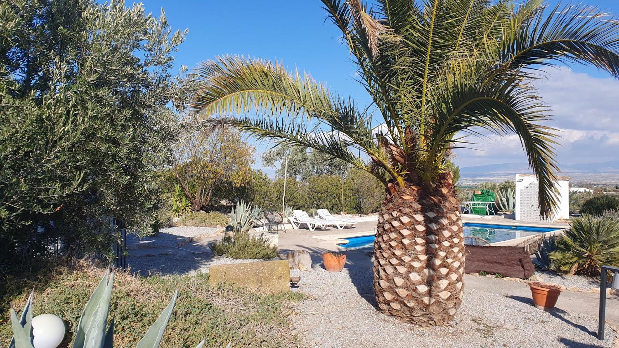 Bed and breakfast Casa De La Familia -