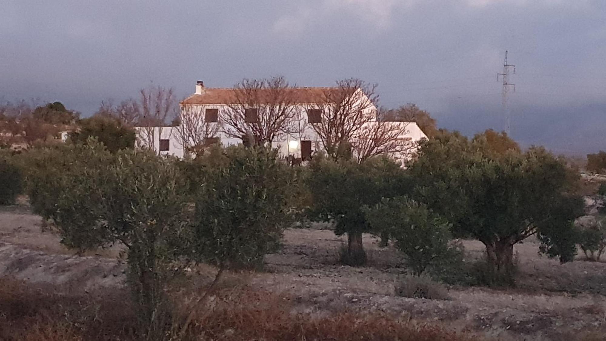 Bed and breakfast Casa De La Familia -